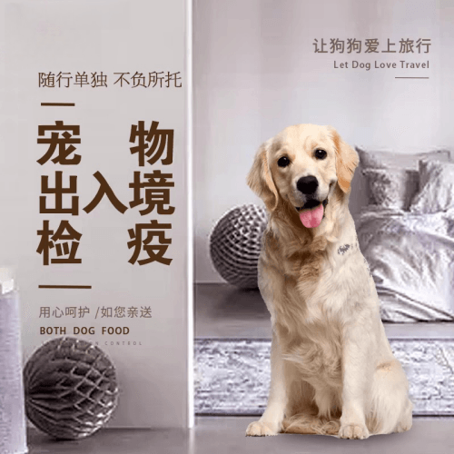梅州市宠物托运到哥伦比亚猫狗宠物入境规定和