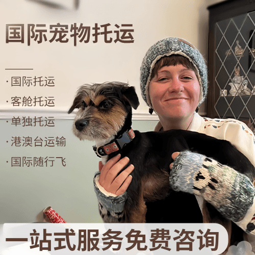 梅州市国际宠物托运到阿根廷宠物入境规定和要