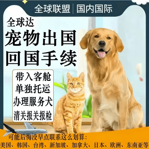 梅州市宠物托运到柬埔寨宠物入境规定和要求