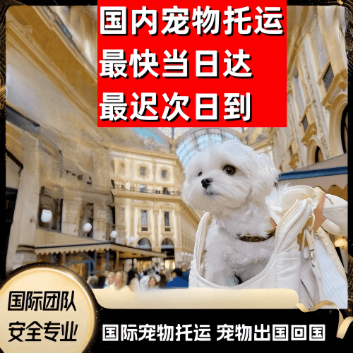 梅州市到澳大利亚（澳洲）宠物入境规定和要求